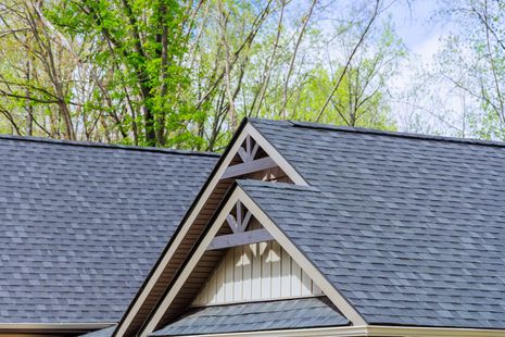 Dark gray shingle roof with decorative triangular gables, trees in the background.