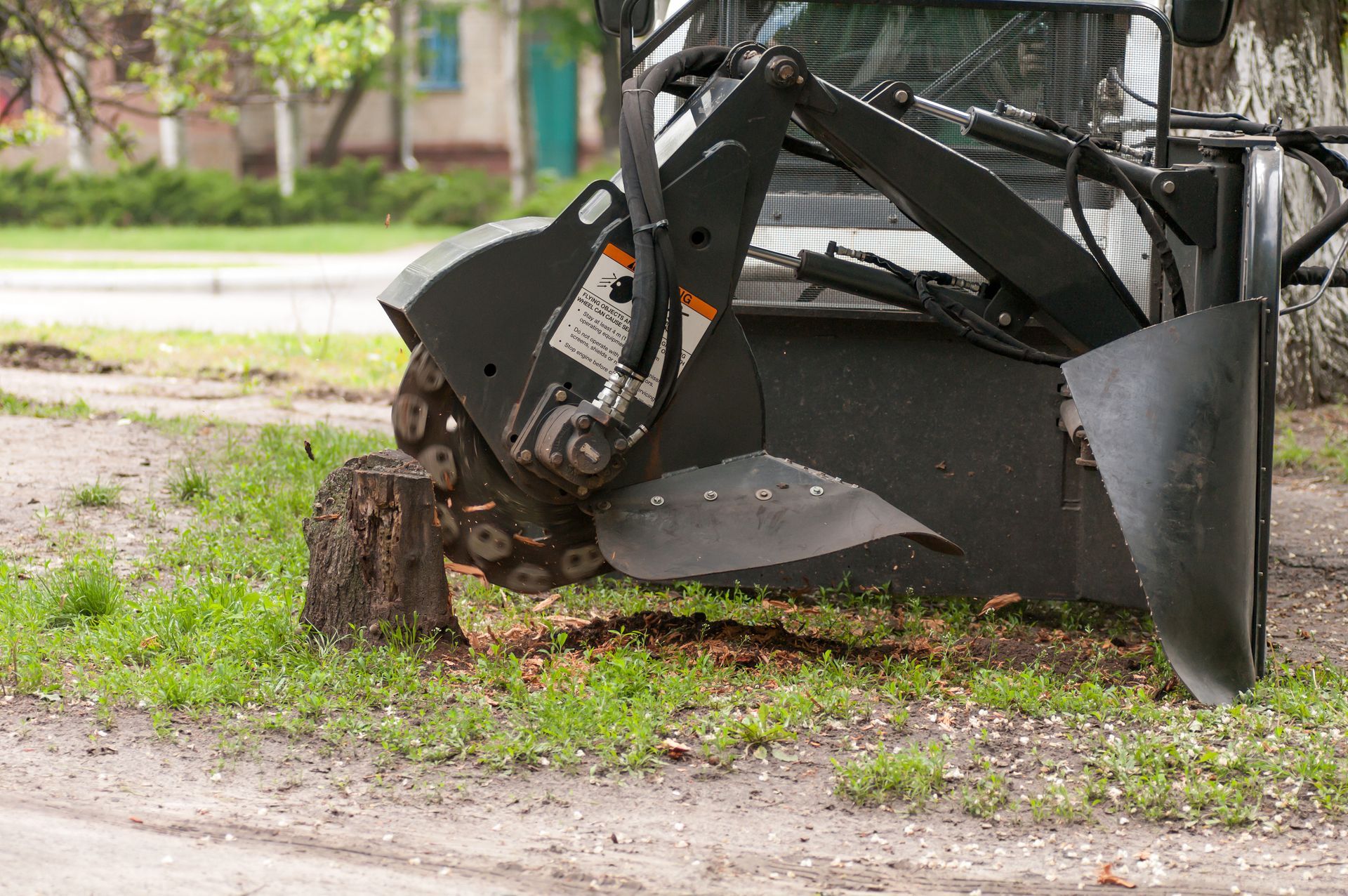 Black skid-steer loader bucket beside a tree stump on a grassy roadside Black skid-steer loader bucket beside a tree stump on a grassy roadside