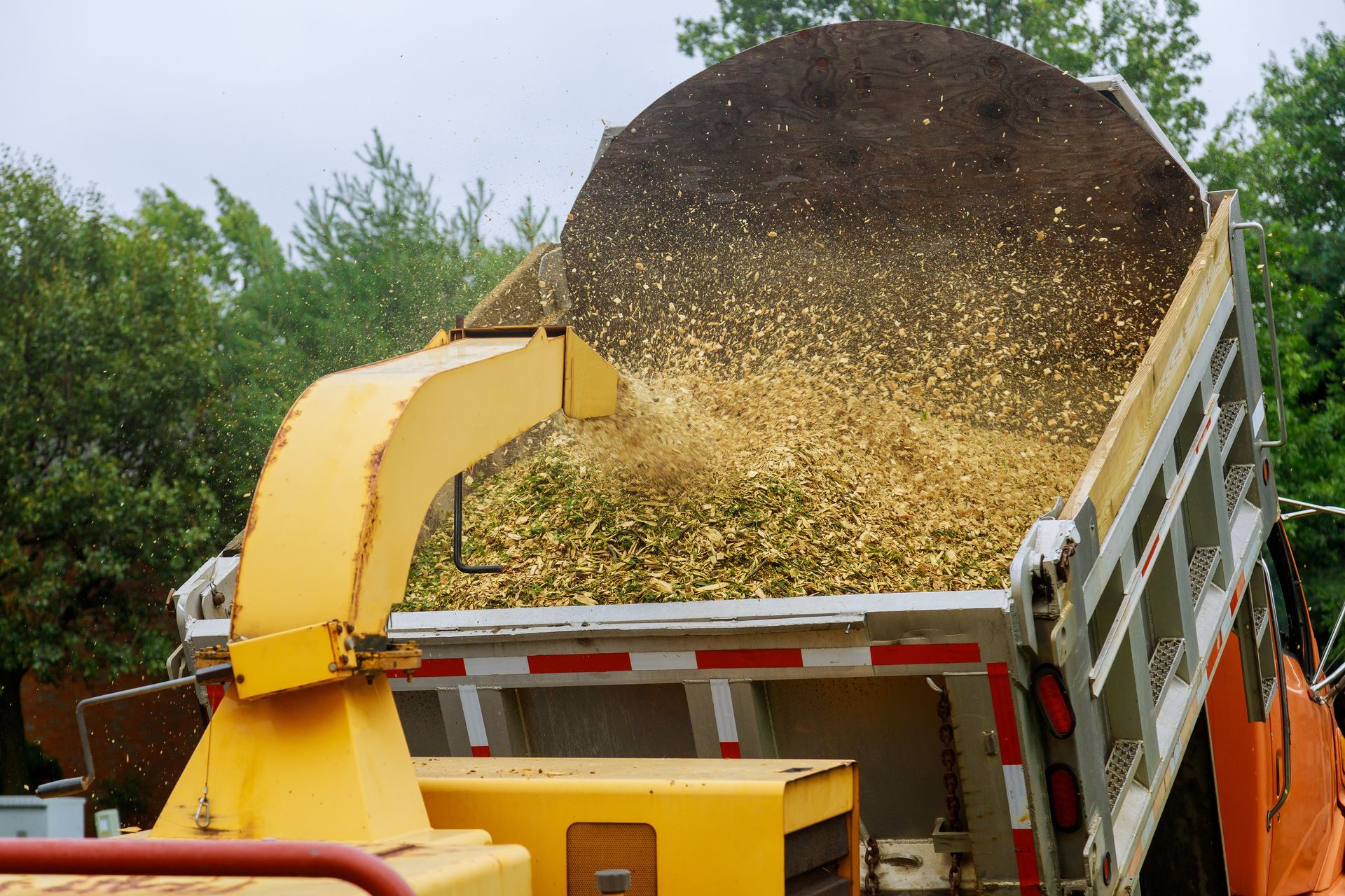 Yellow wood chipper loading a dump truck with wood chips outdoors