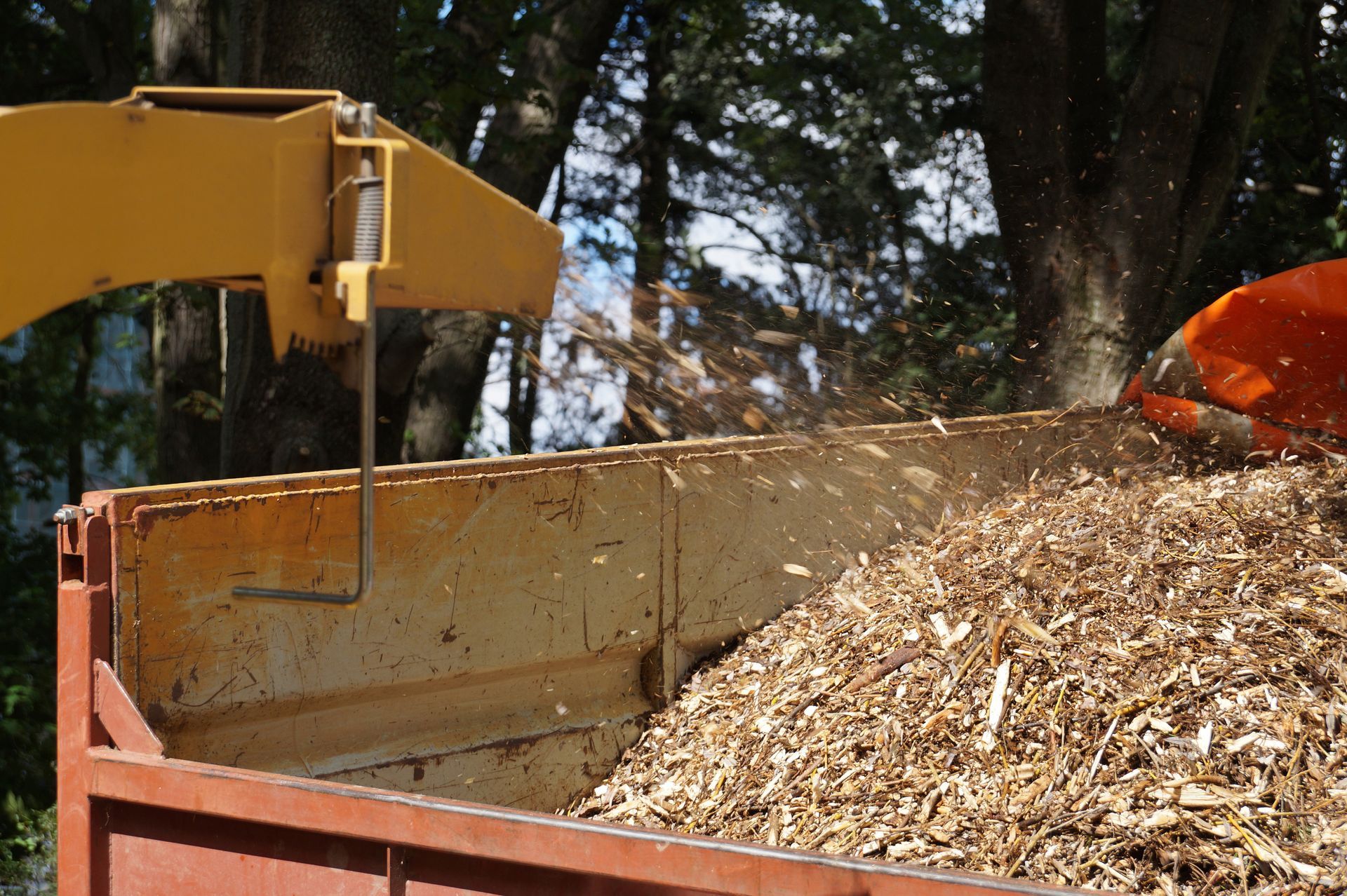 Yellow excavator loading wood chips into a red dumpster outdoors Yellow excavator loading wood chips into a red dumpster outdoors