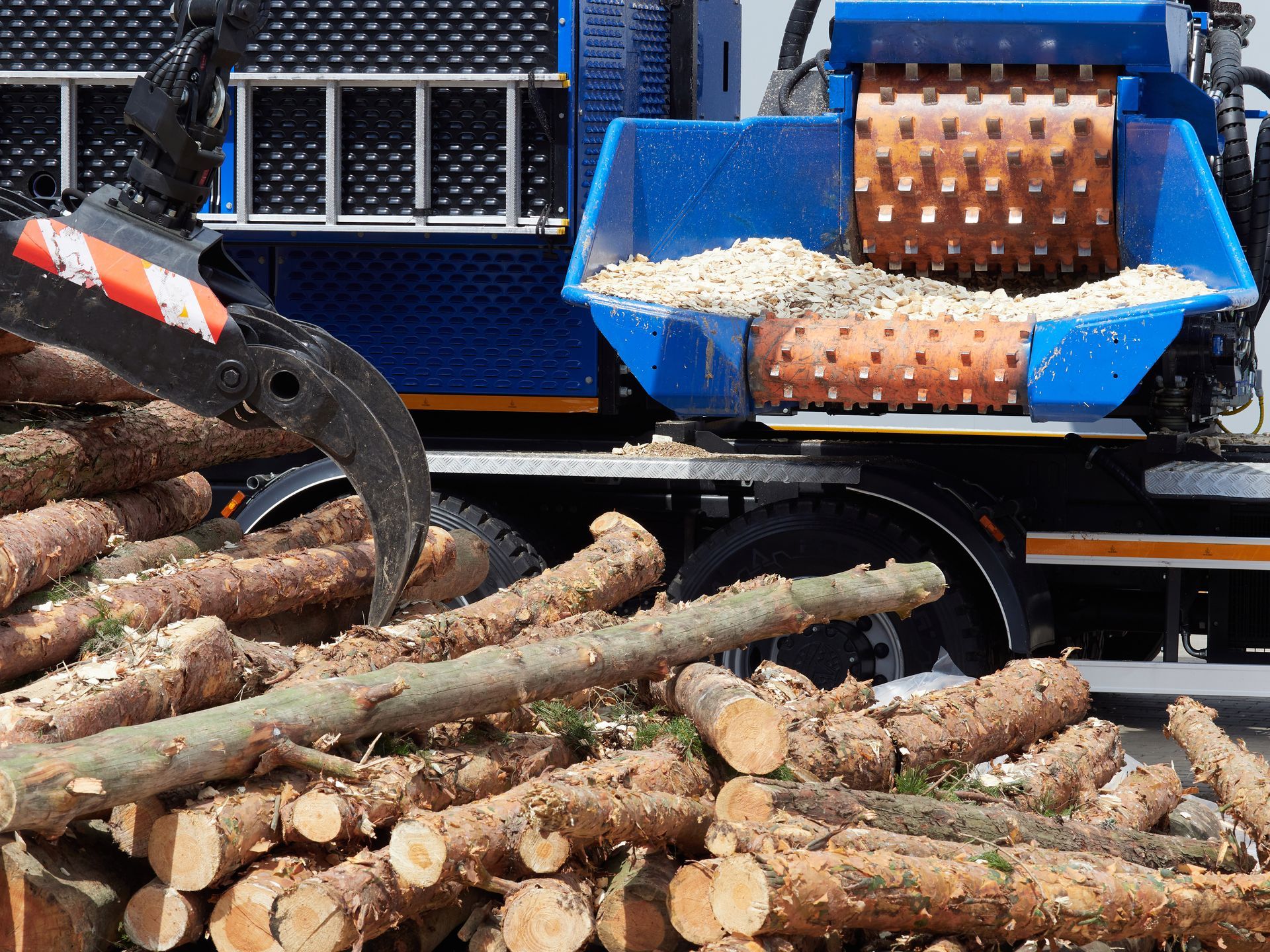 Excavator loading logs into a blue wood chipper beside a pile of cut tree trunks. Excavator loading logs into a blue wood chipper beside a pile of cut tree trunks.