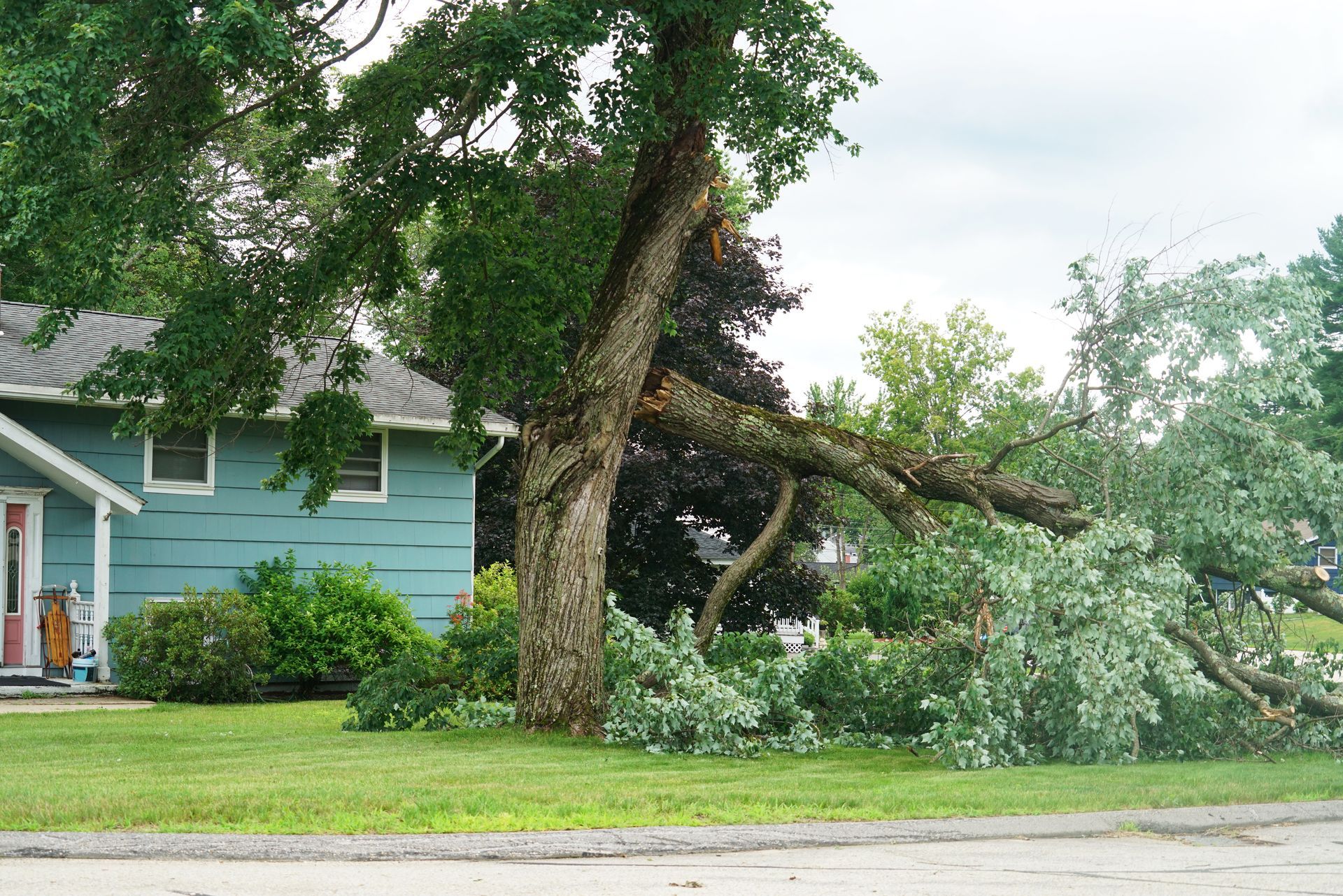 Large fallen tree limb blocking a suburban street beside a blue house and green lawn