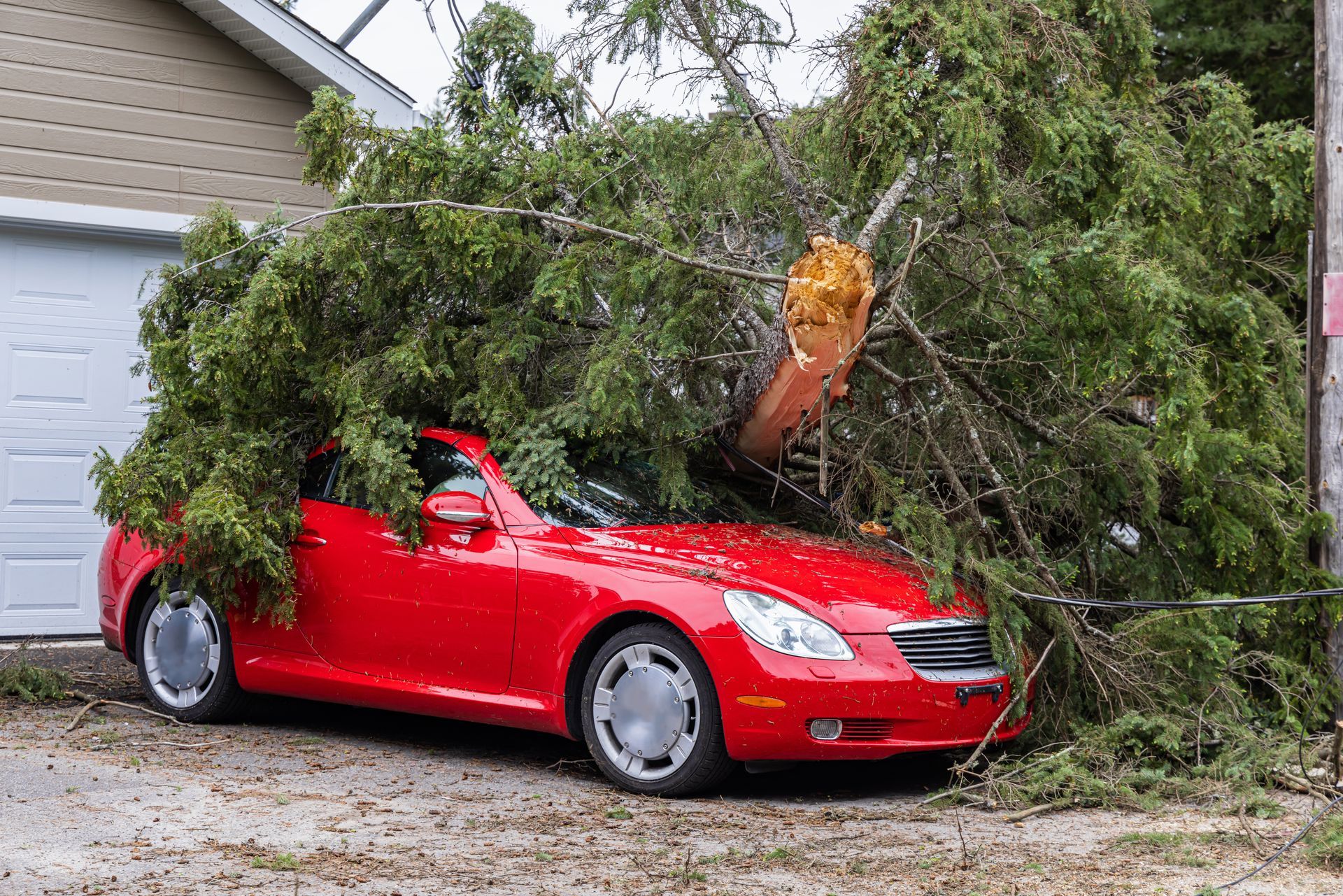 Red convertible trapped under a fallen tree in a driveway after storm damage