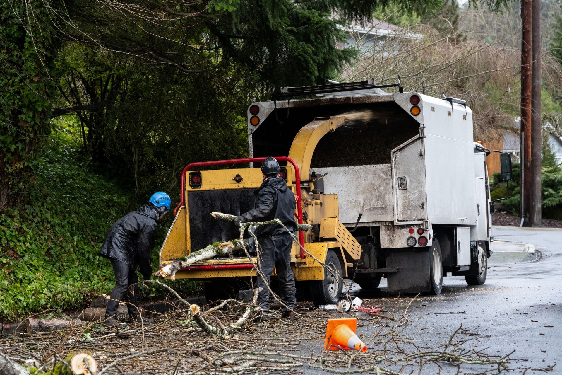 Workers clear debris from a yellow wood chipper into a white truck on a wet roadside. Workers clear debris from a yellow wood chipper into a white truck on a wet roadside.