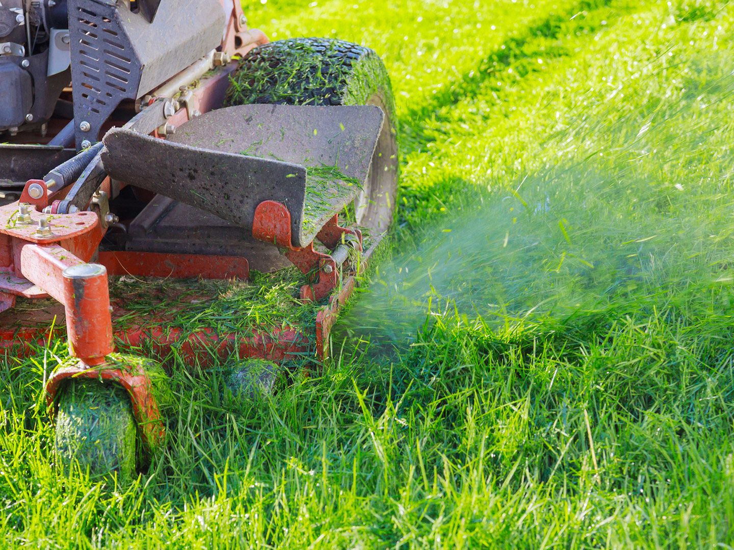 Lawnmower cutting fresh green grass on a sunny day, with grass clippings visible.