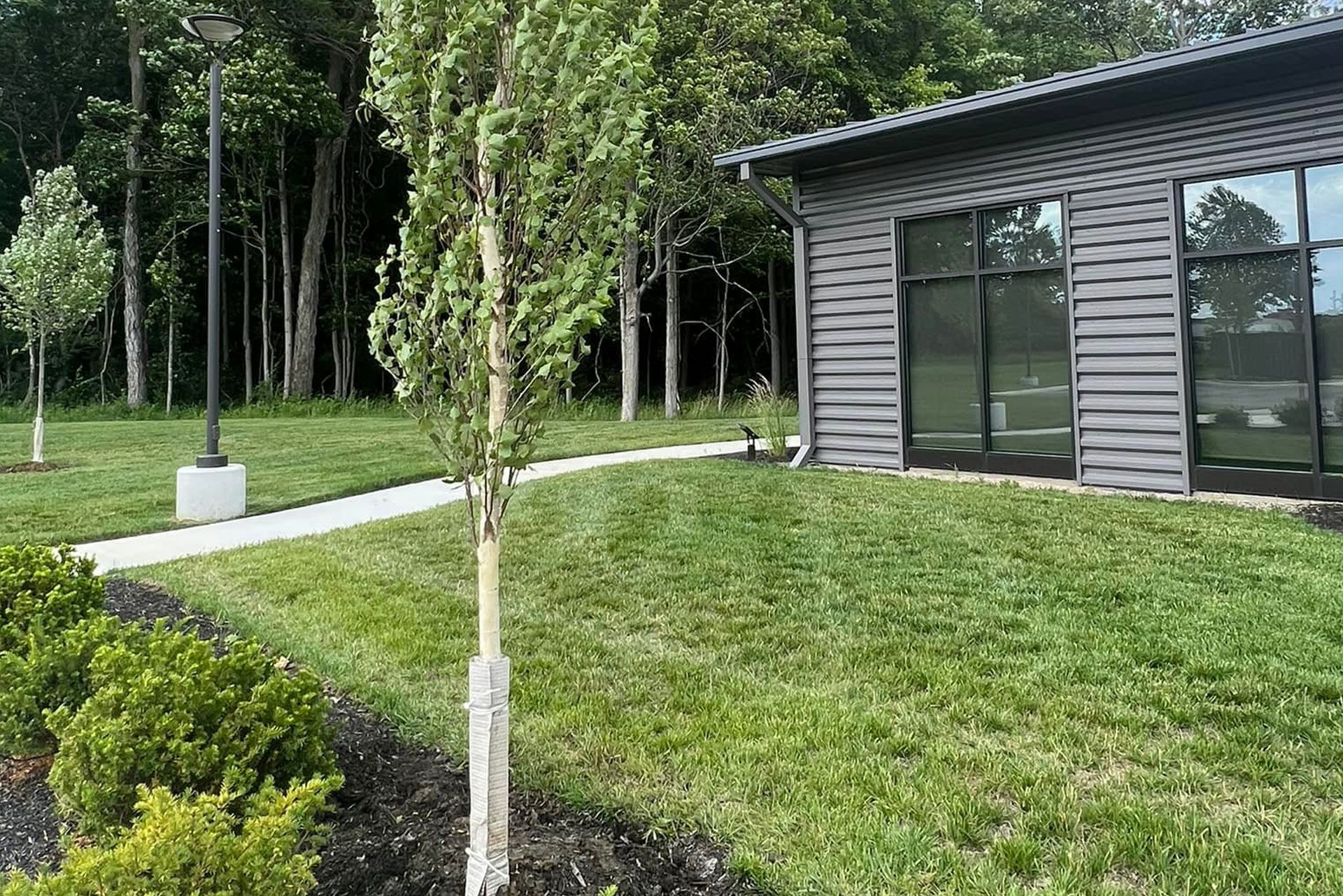 Exterior of a building with dark-tinted windows, a path, trees, and green grass.