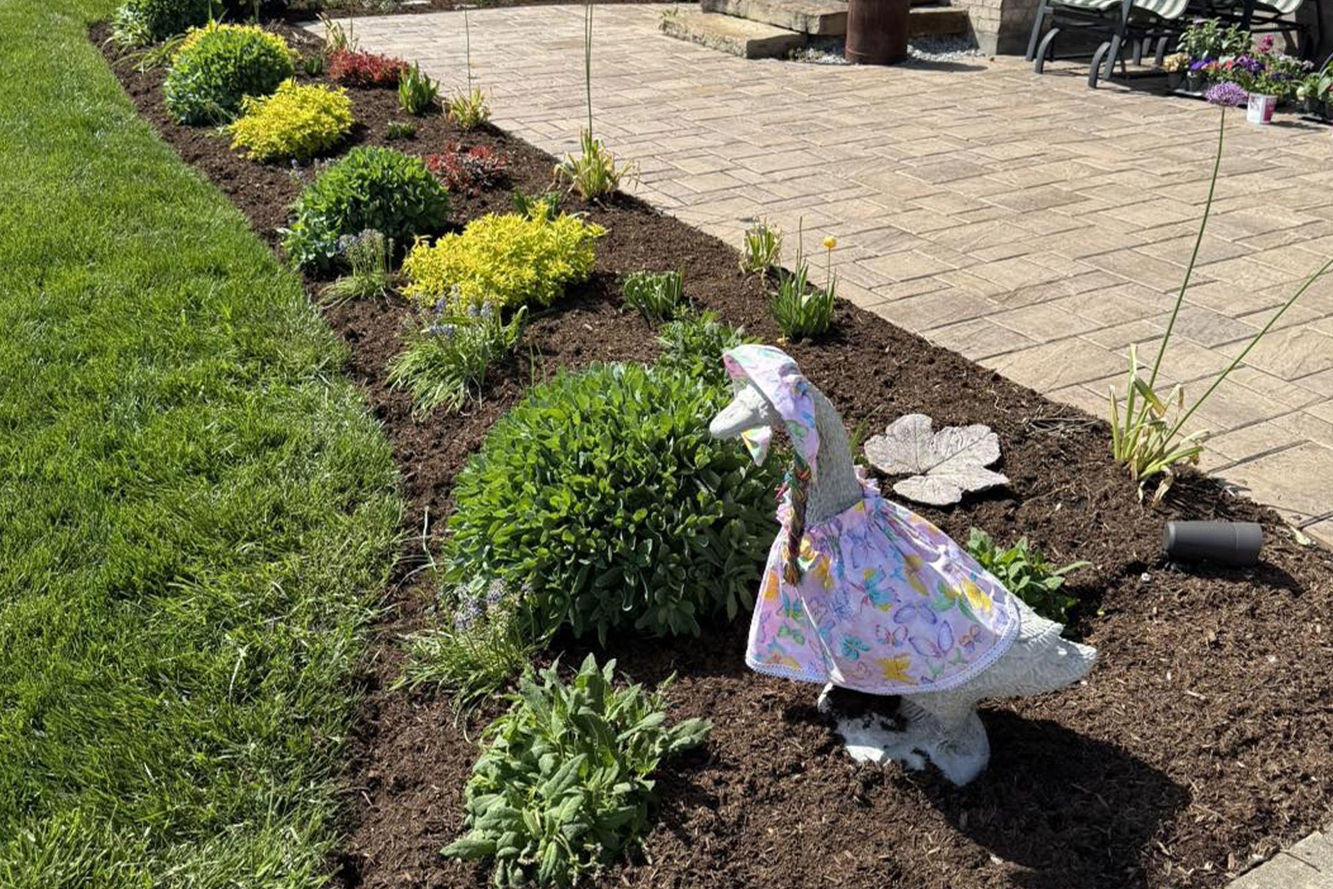 Flower bed with assorted plants and a dinosaur statue wearing a dress.