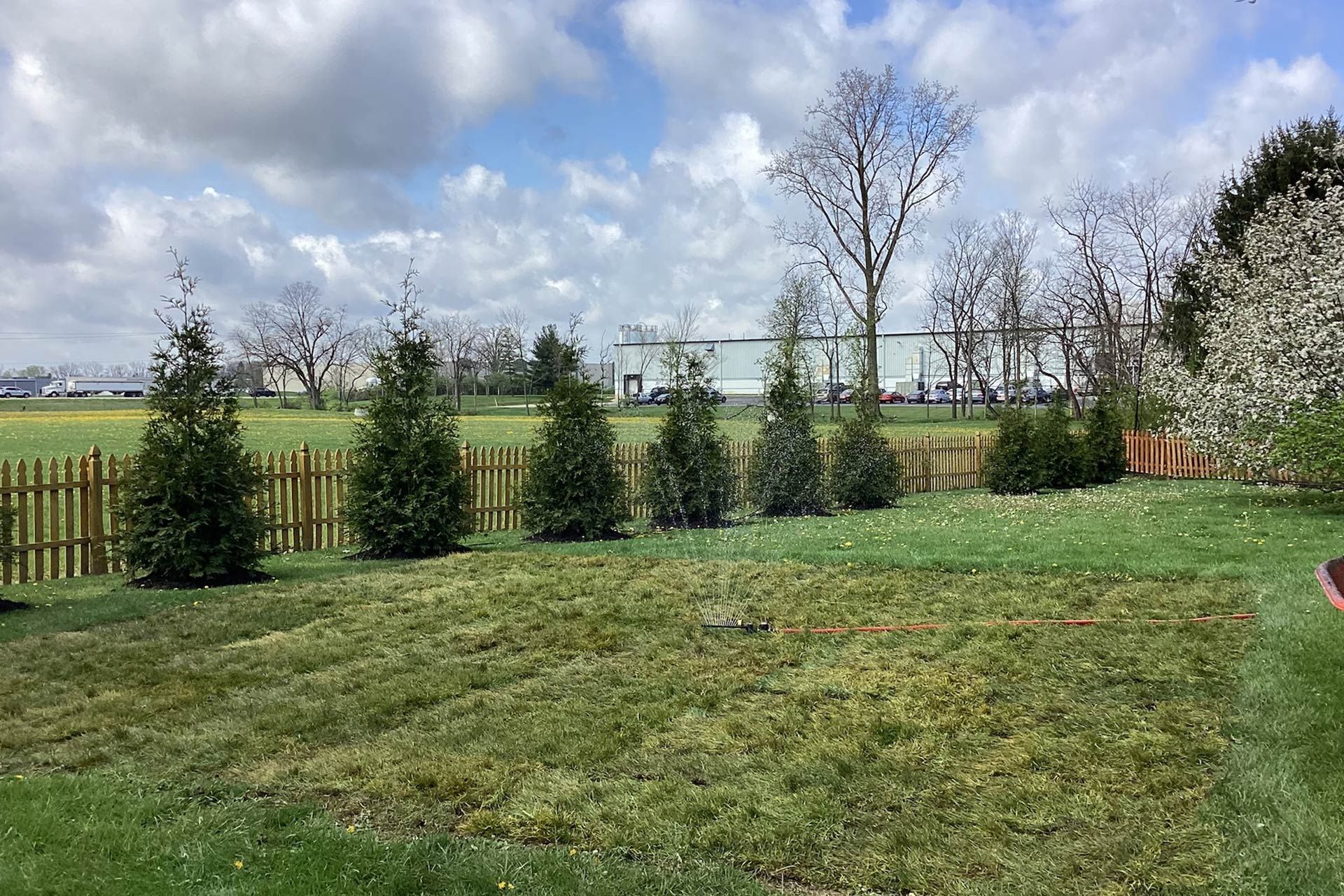 Lawn with patchy grass, small trees behind a wooden fence, and a cloudy sky.