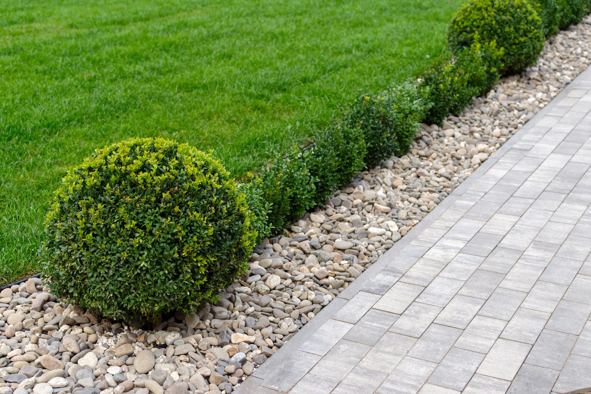 Green lawn, trimmed shrubs, and stone walkway.