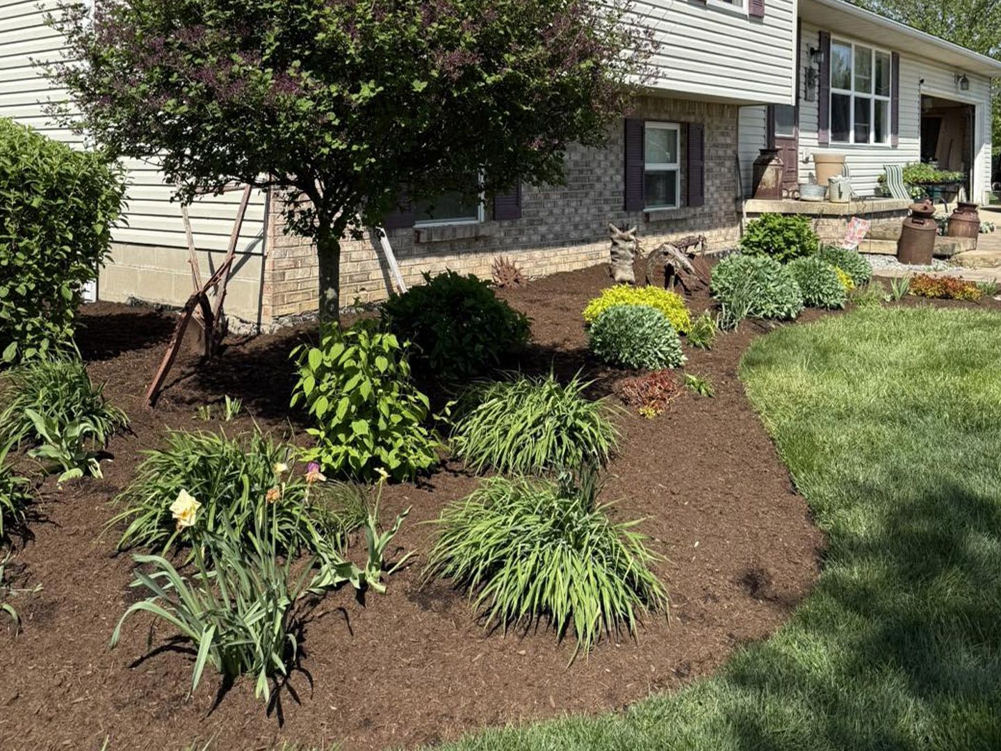 A well-landscaped yard with various green plants and brown mulch in front of a house.
