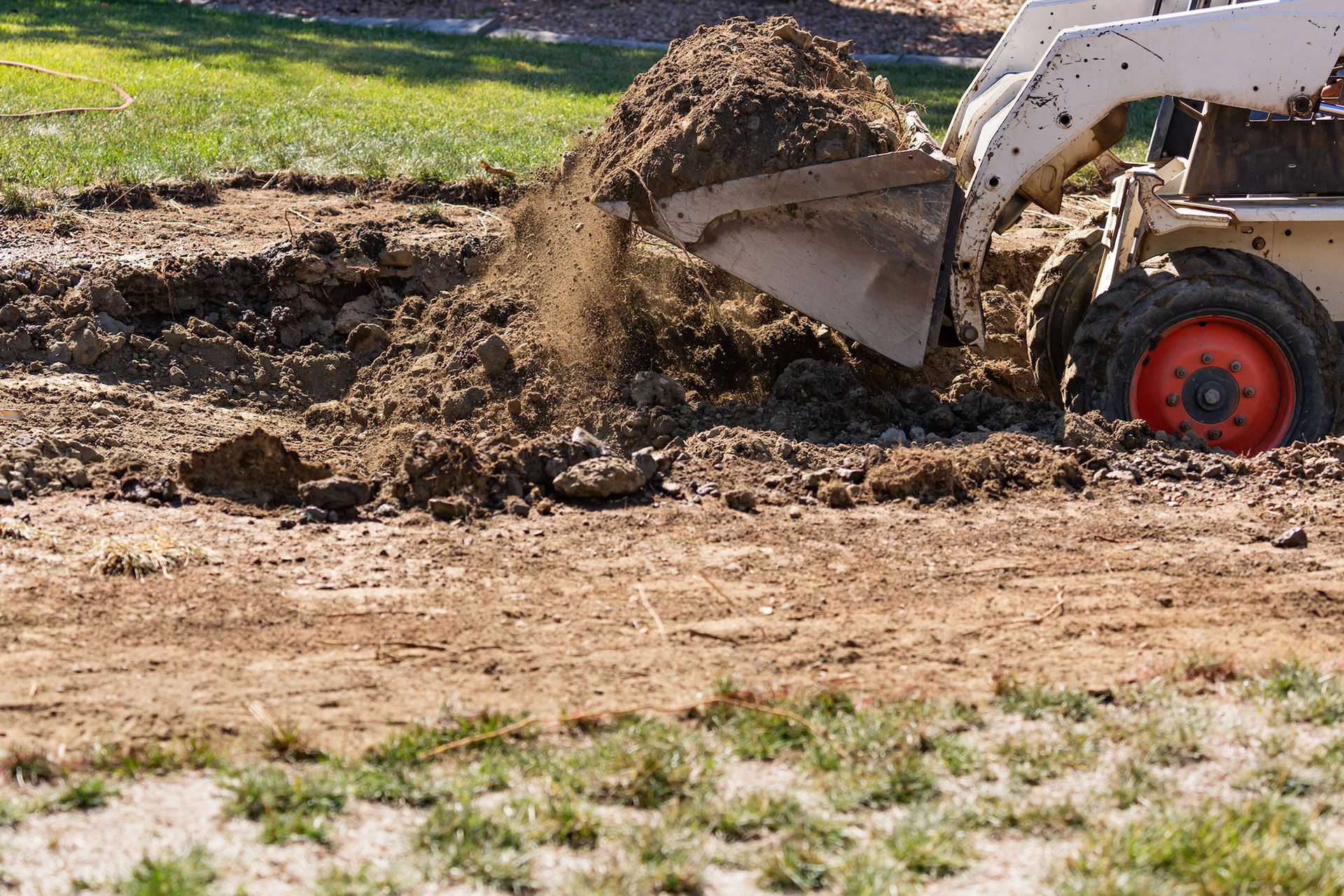 A white skid steer loader scoops up dirt from a grassy area.