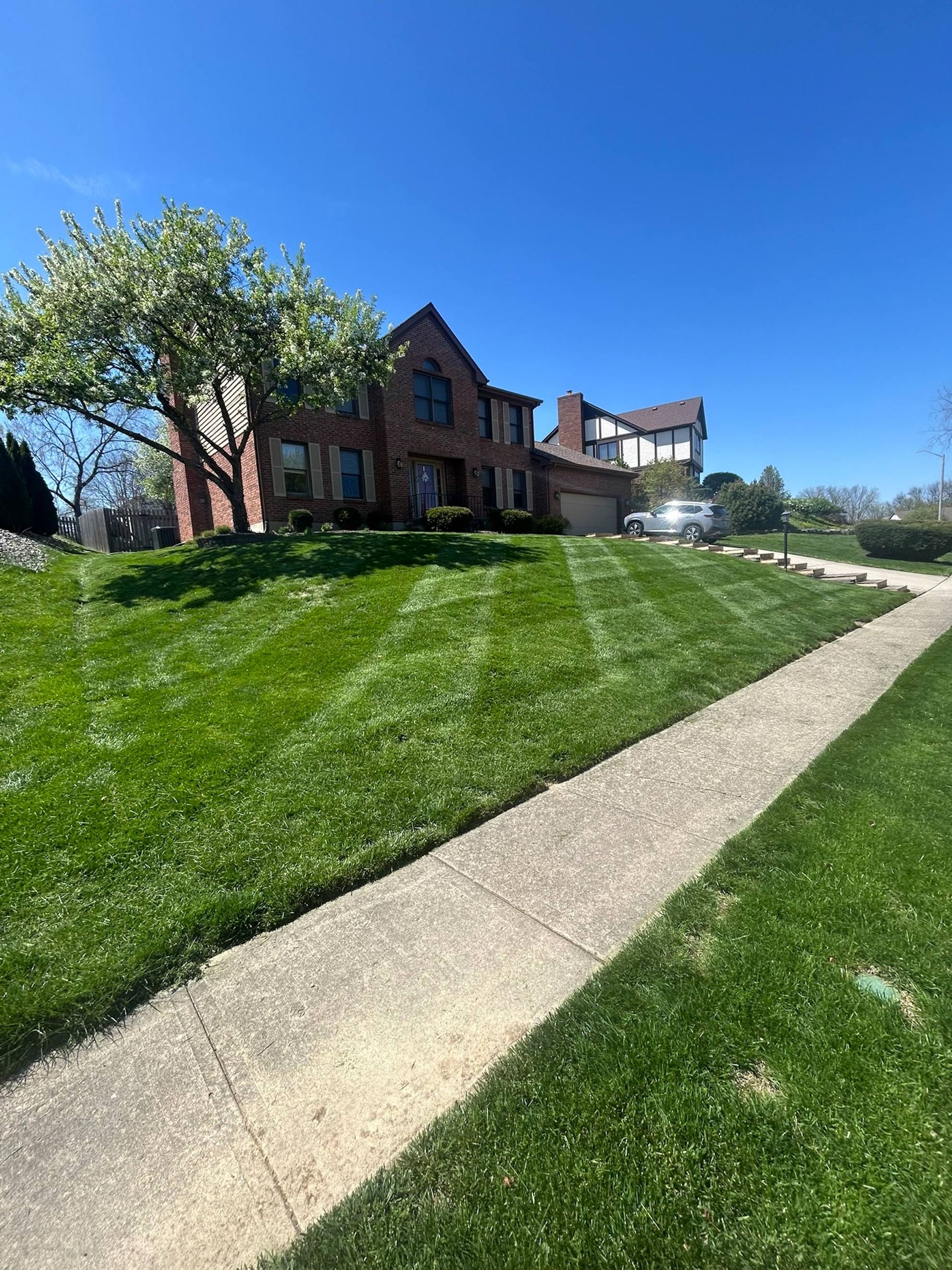 Lawn mowed with stripes in front of a brick house on a sunny day. A concrete sidewalk is in the foreground.