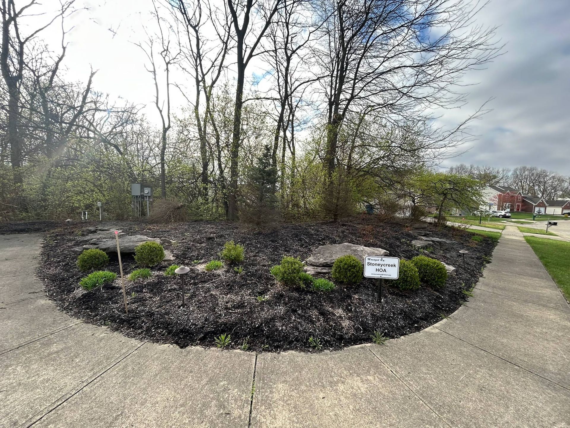 Circular flower bed with shrubs and dark mulch, next to a sidewalk and a few trees.
