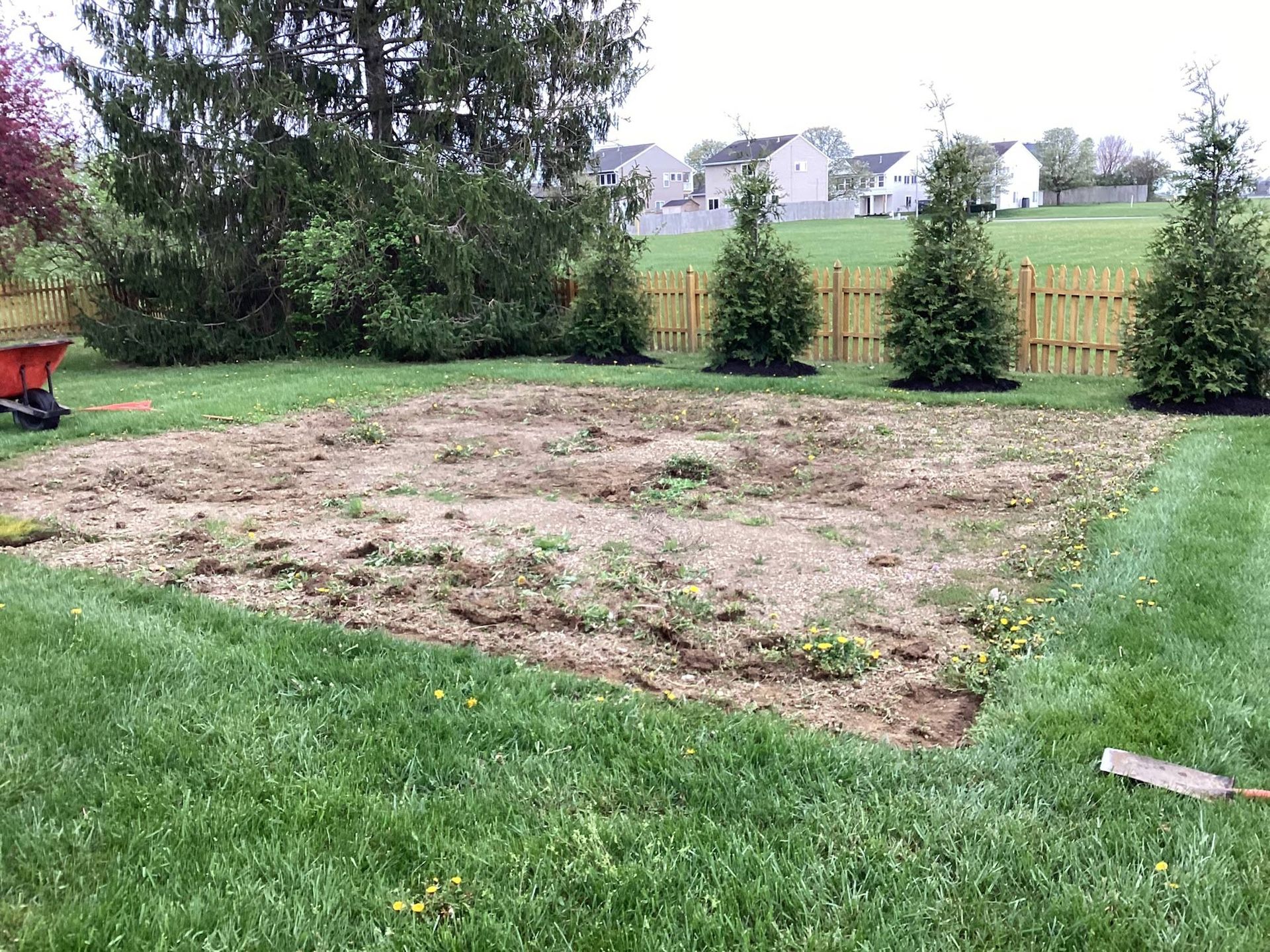 Cleared garden bed in a grassy backyard, surrounded by a border of grass, with trees and fence in the background.