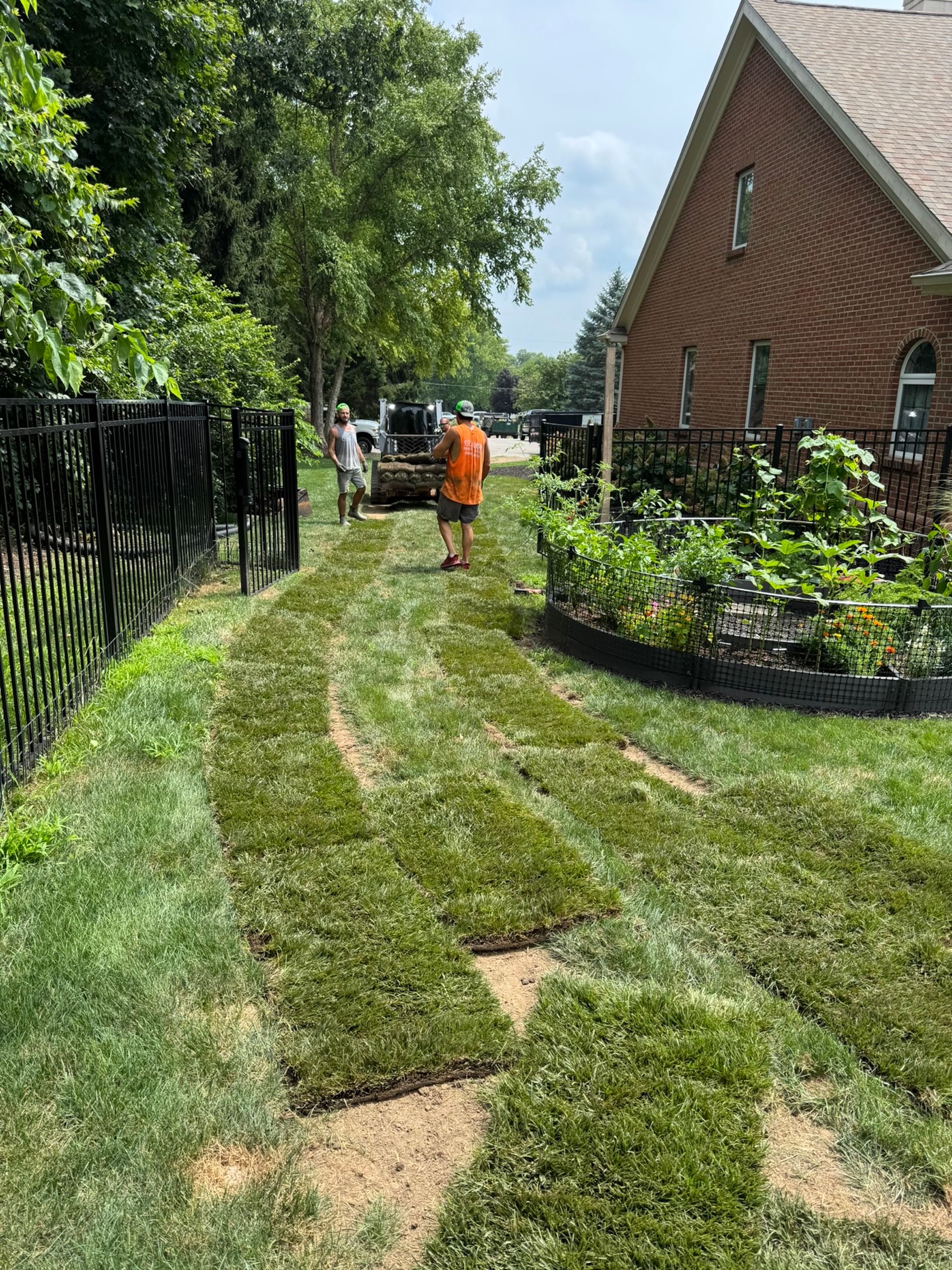 Workers laying sod in a yard; house and fence in the background. Green grass and soil visible.