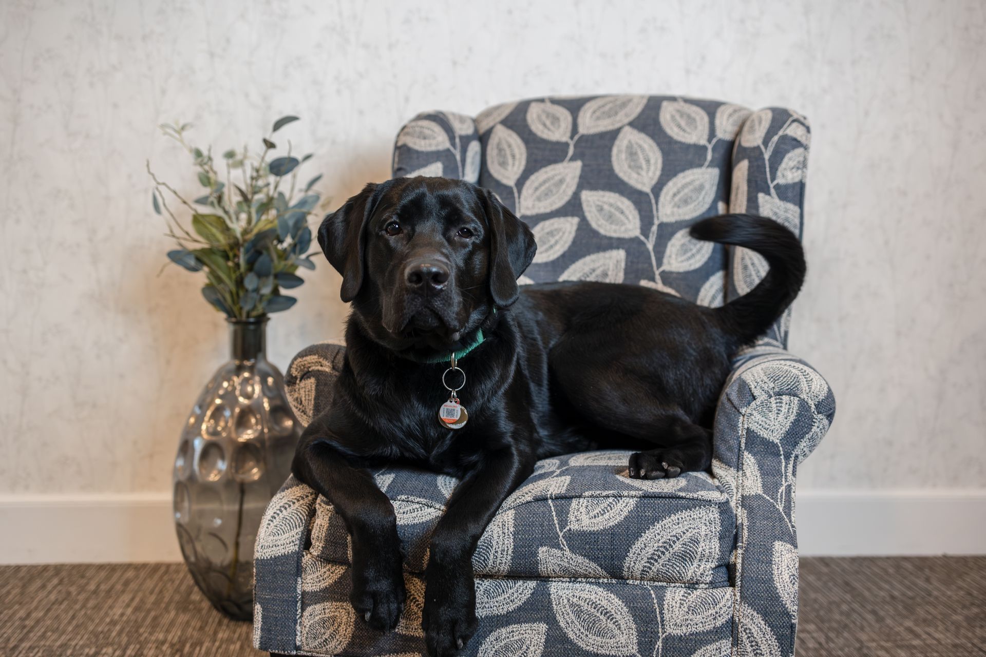 Staff Photo