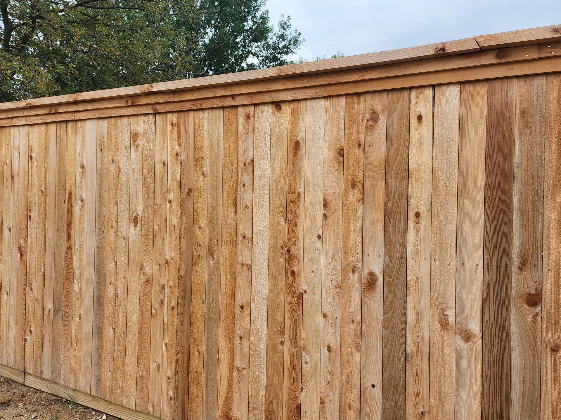 A close up of a wooden fence with trees in the background.