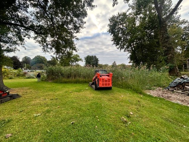 Orange skid steer in a grassy area, with a person and tall reeds in the background under a cloudy sky.