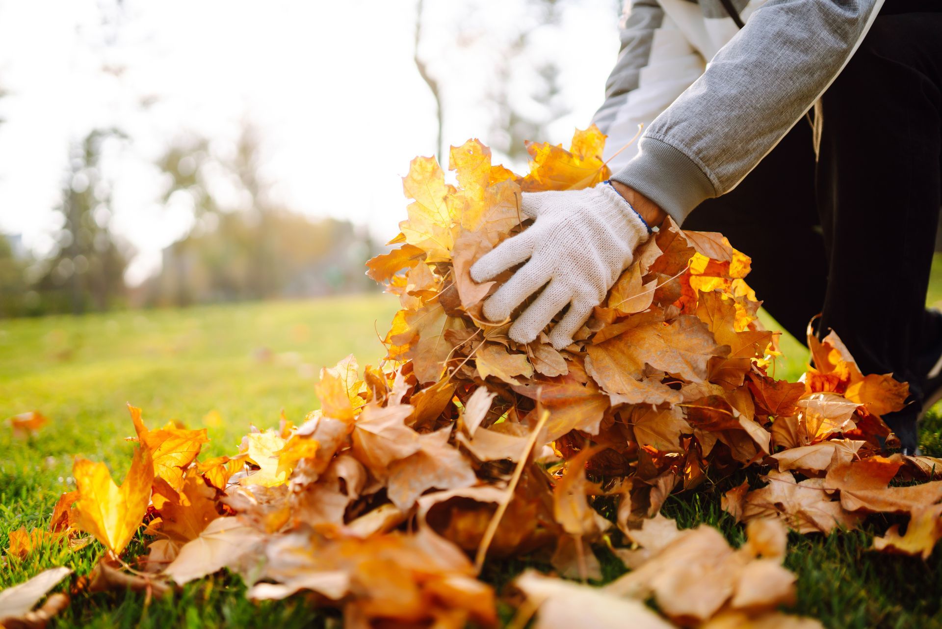 Gloved hands raking a pile of autumn leaves in a grassy yard