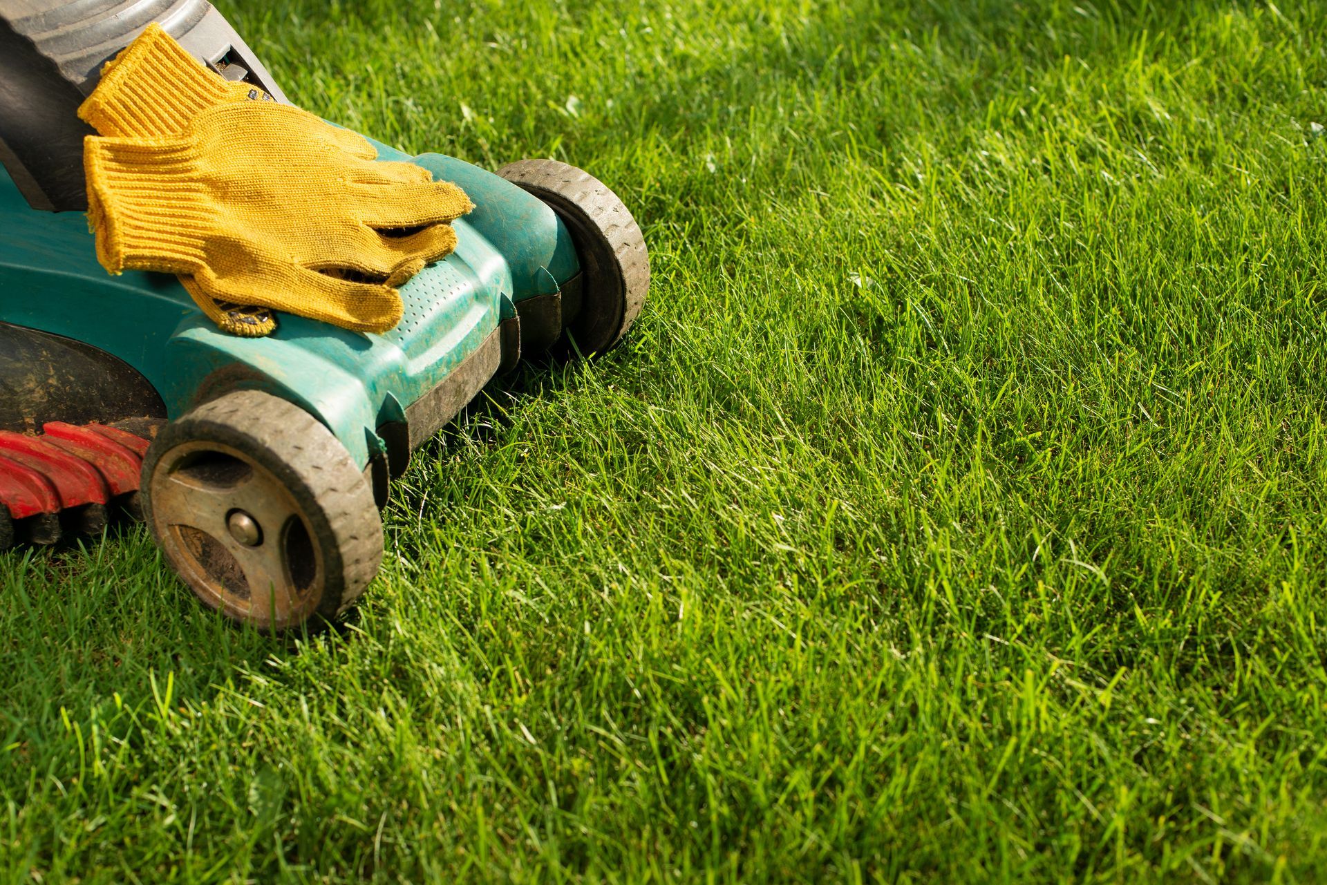 Green lawn mower with yellow gloves on top, sitting on a grassy lawn