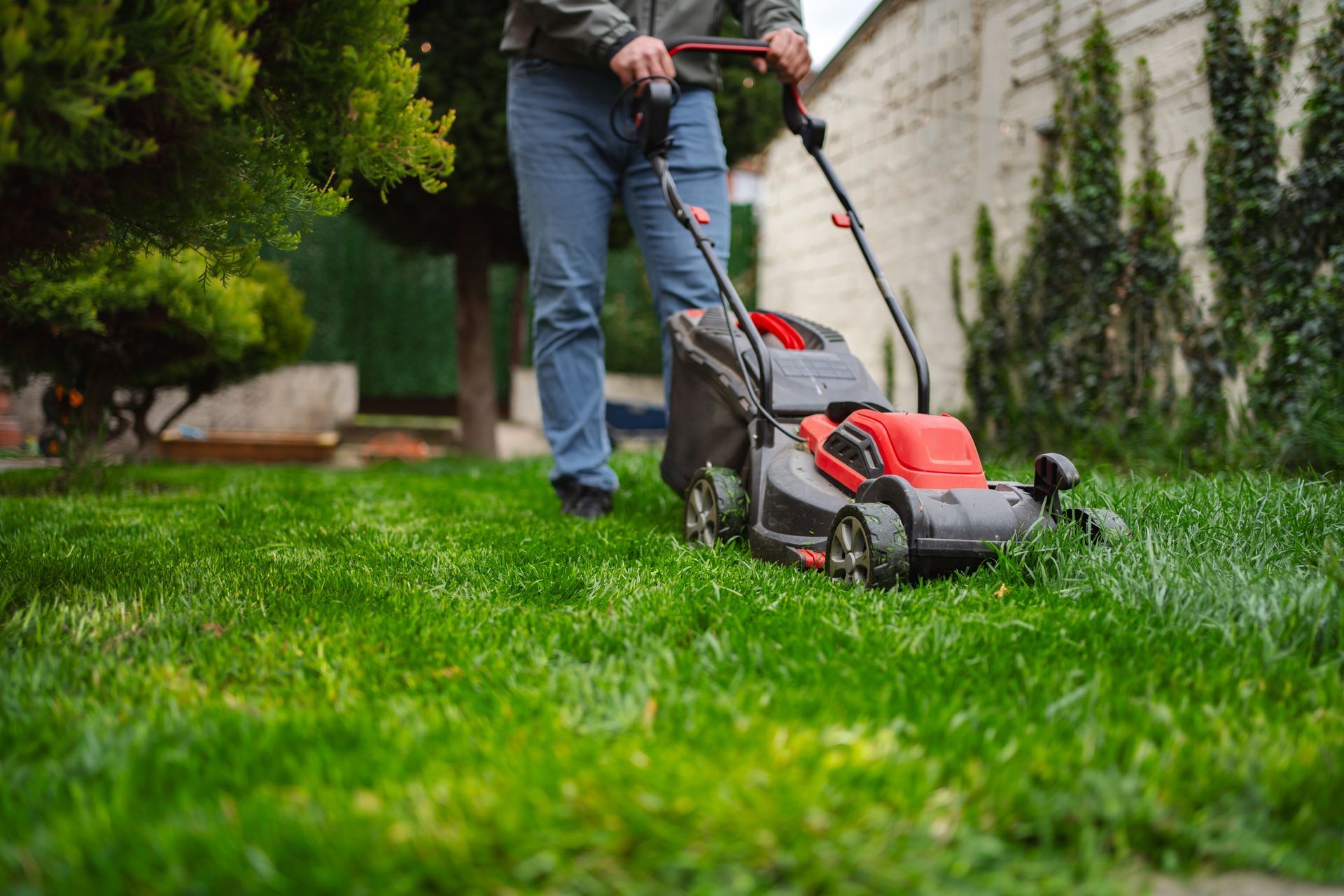 Person mowing a lush green lawn with a red push mower in a garden