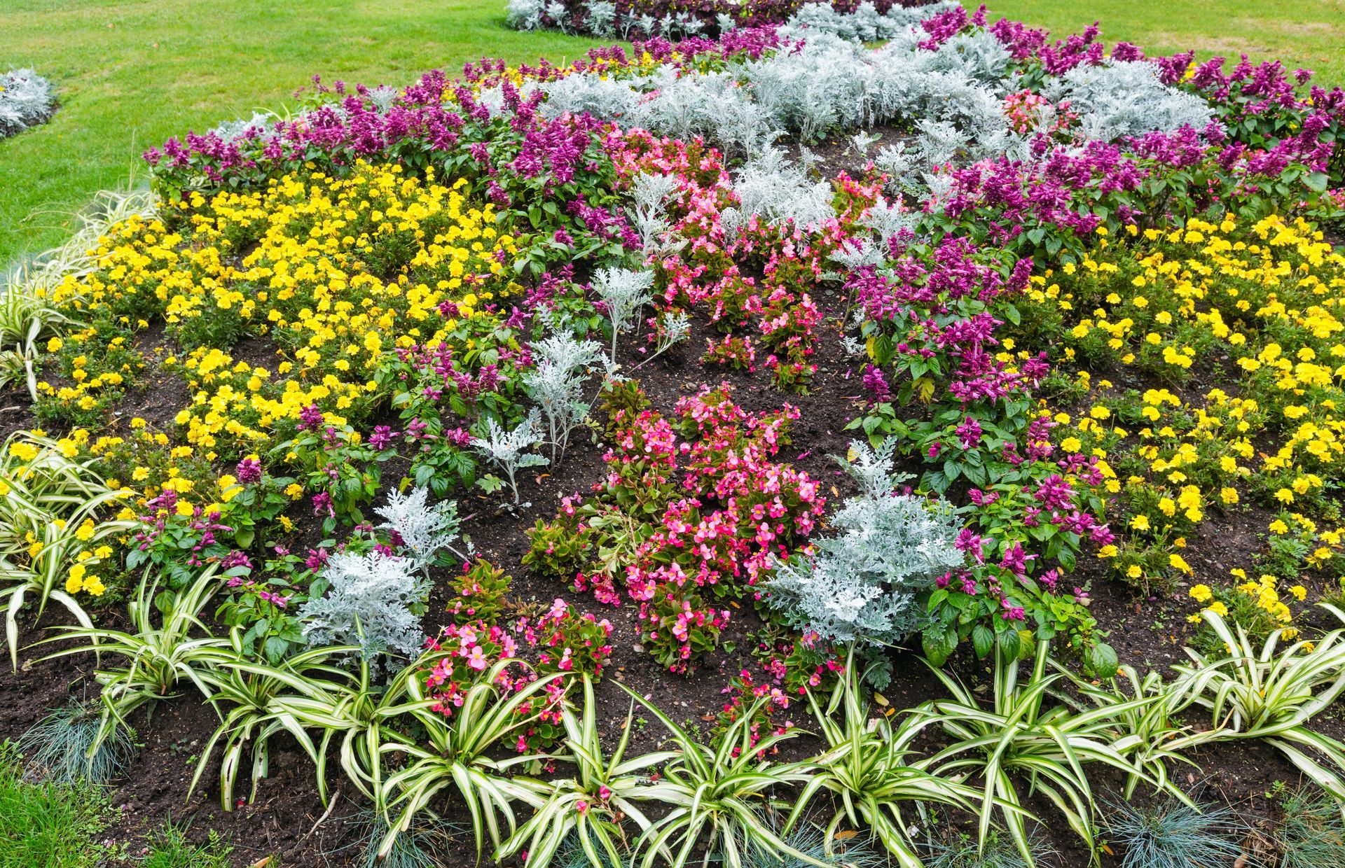 Colorful flower bed with yellow, pink, and white blooms arranged in a landscaped garden