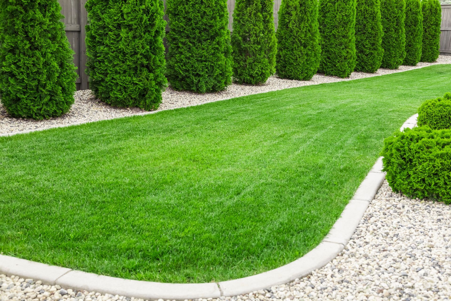 Neatly trimmed green lawn bordered by curved stone edging and tall shrubs in a landscaped garden