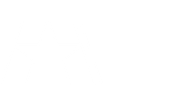 Blank white image.