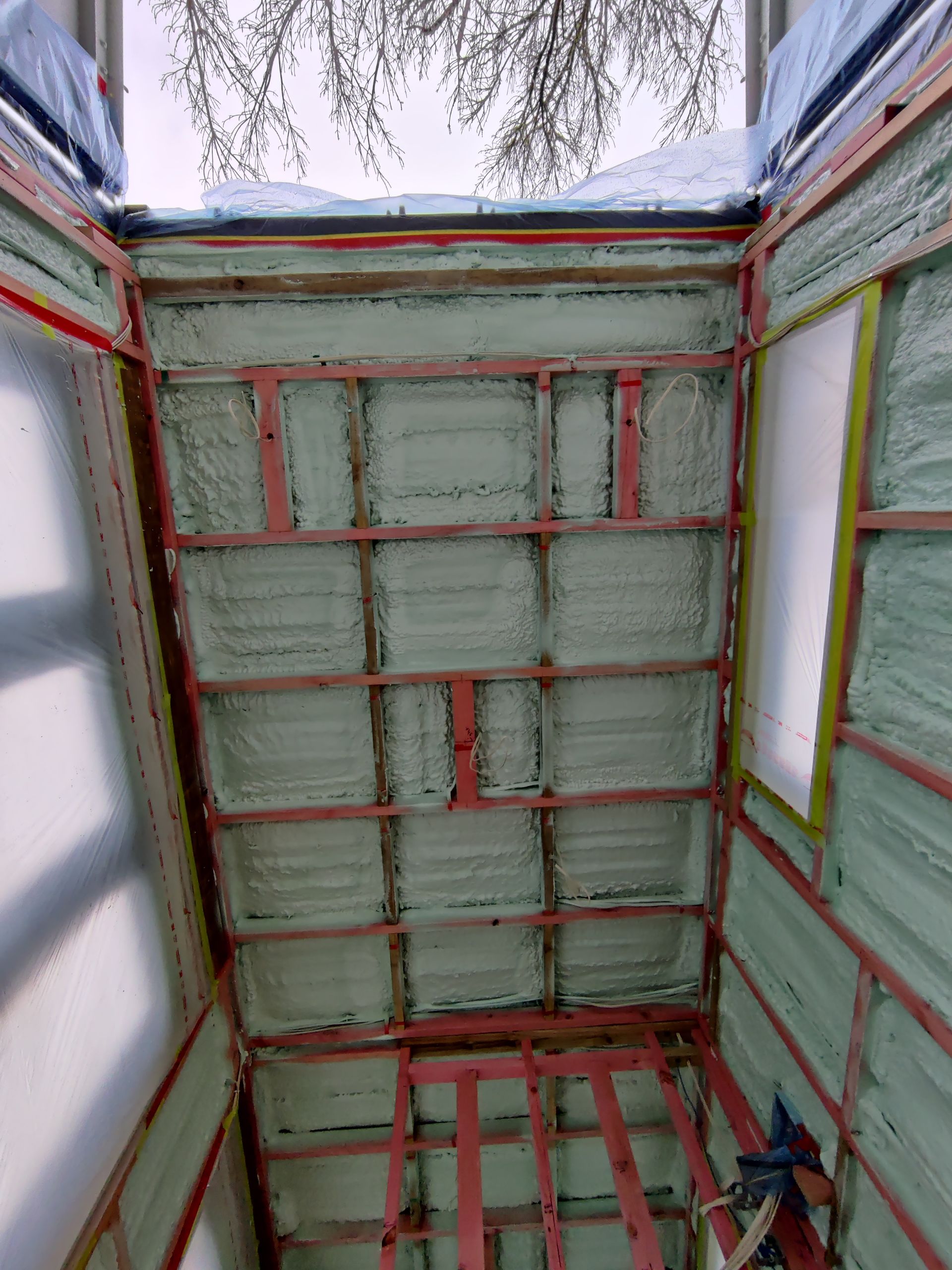 Looking up at the ceiling of a building with a tree in the background