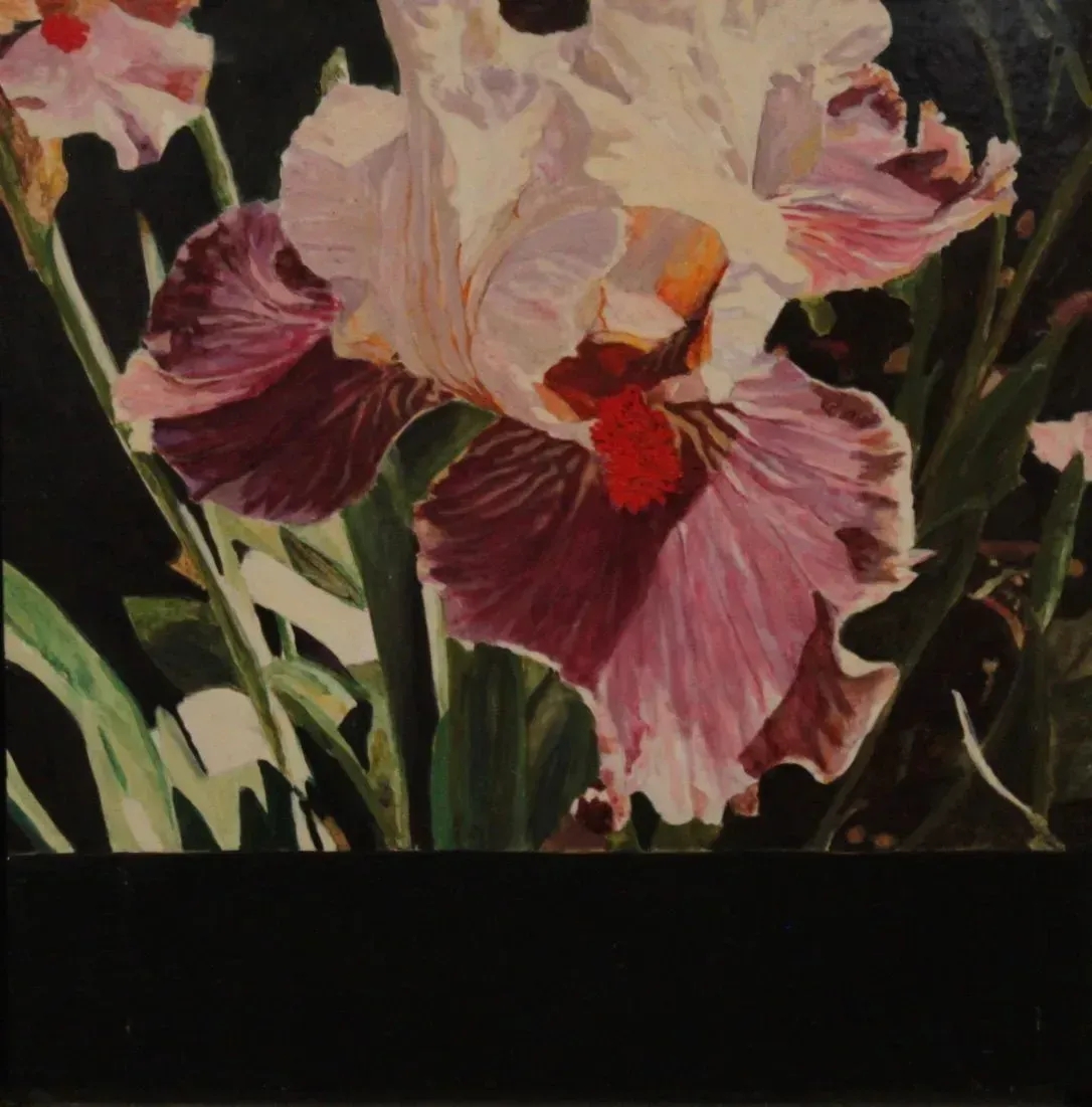 Untitled (2010)