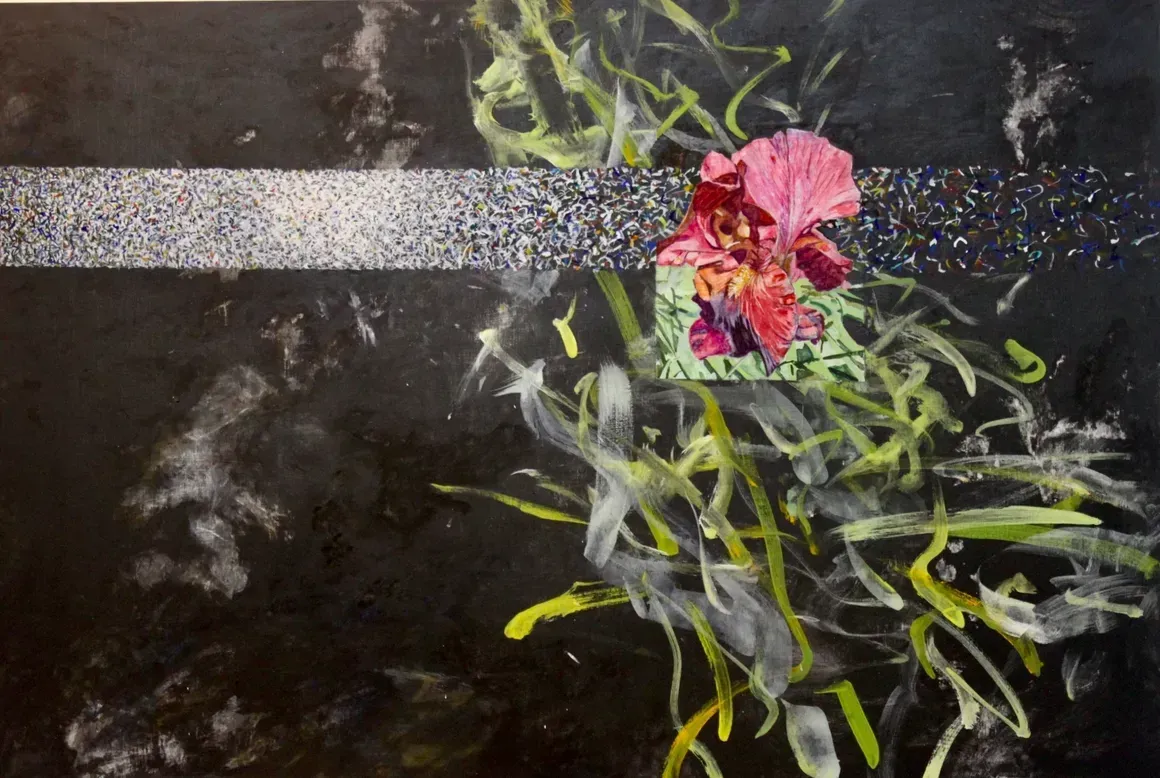 Pink flowers and green leaves on dark pavement beside a white road line