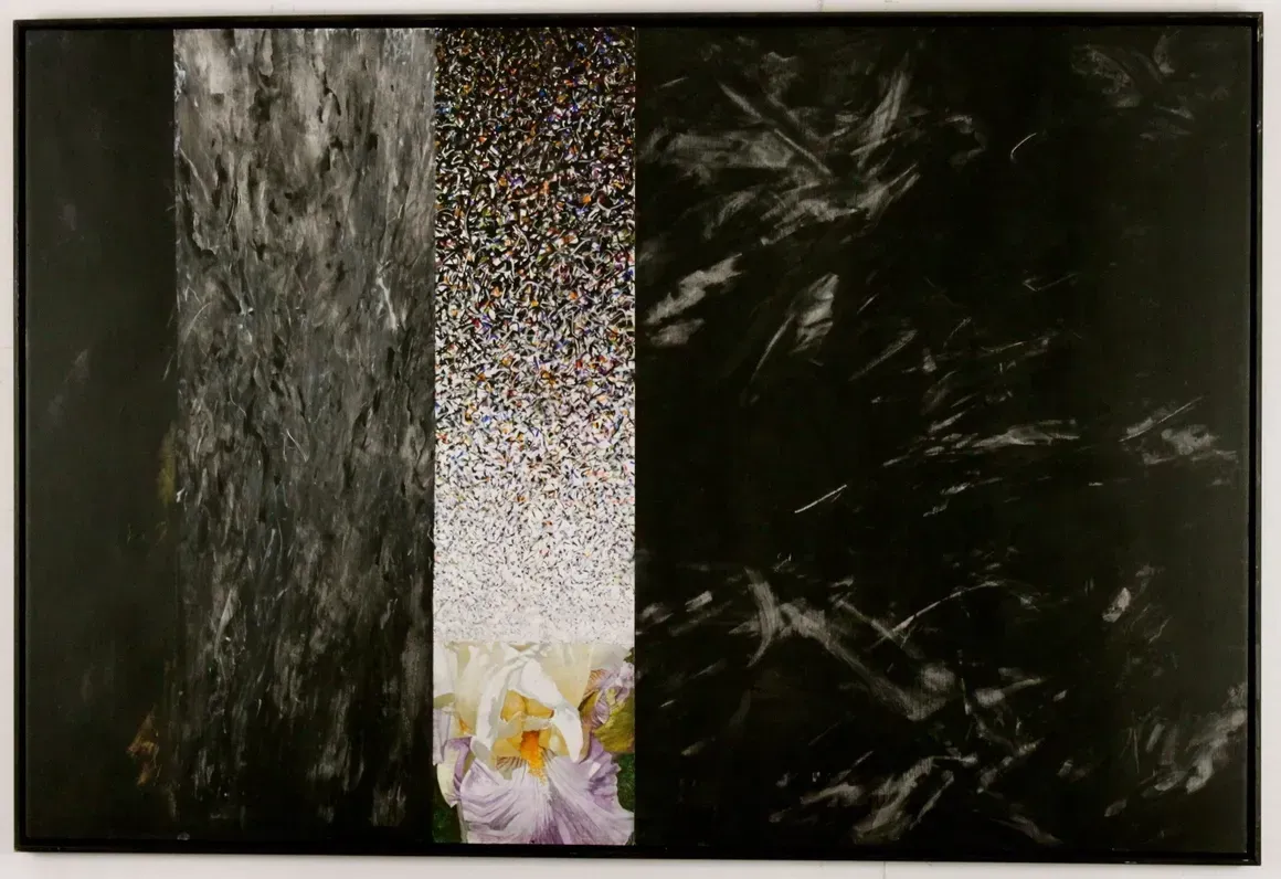 Open Cluster (2018)