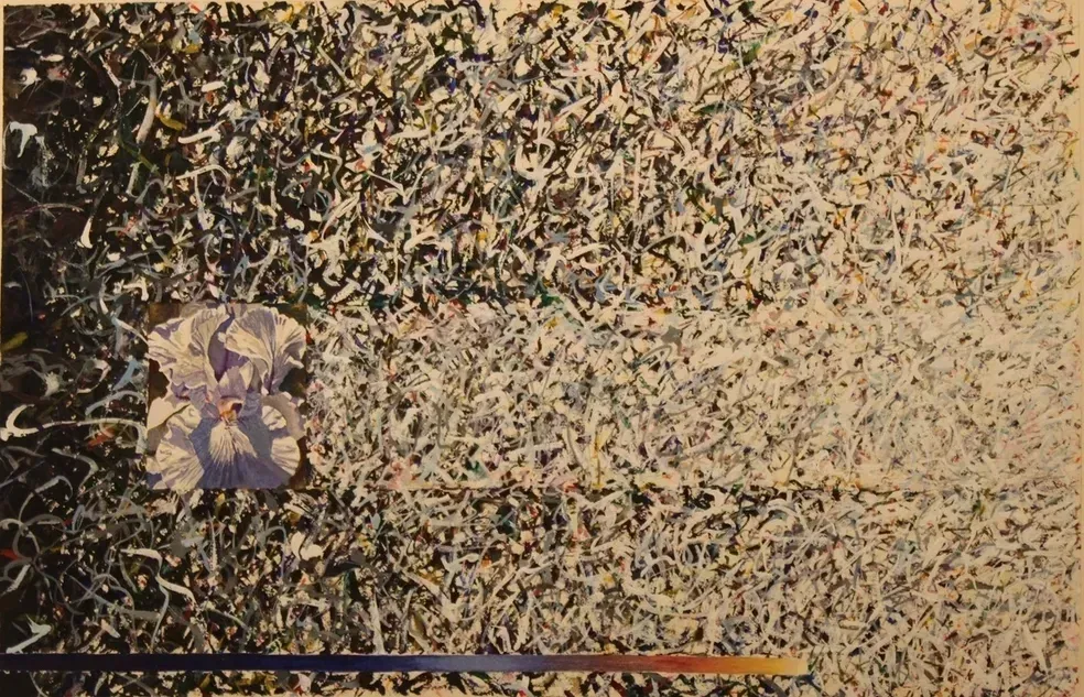 A crowd of small fish swarms around a larger fish in murky water, with a small inset of two fish at lower left.