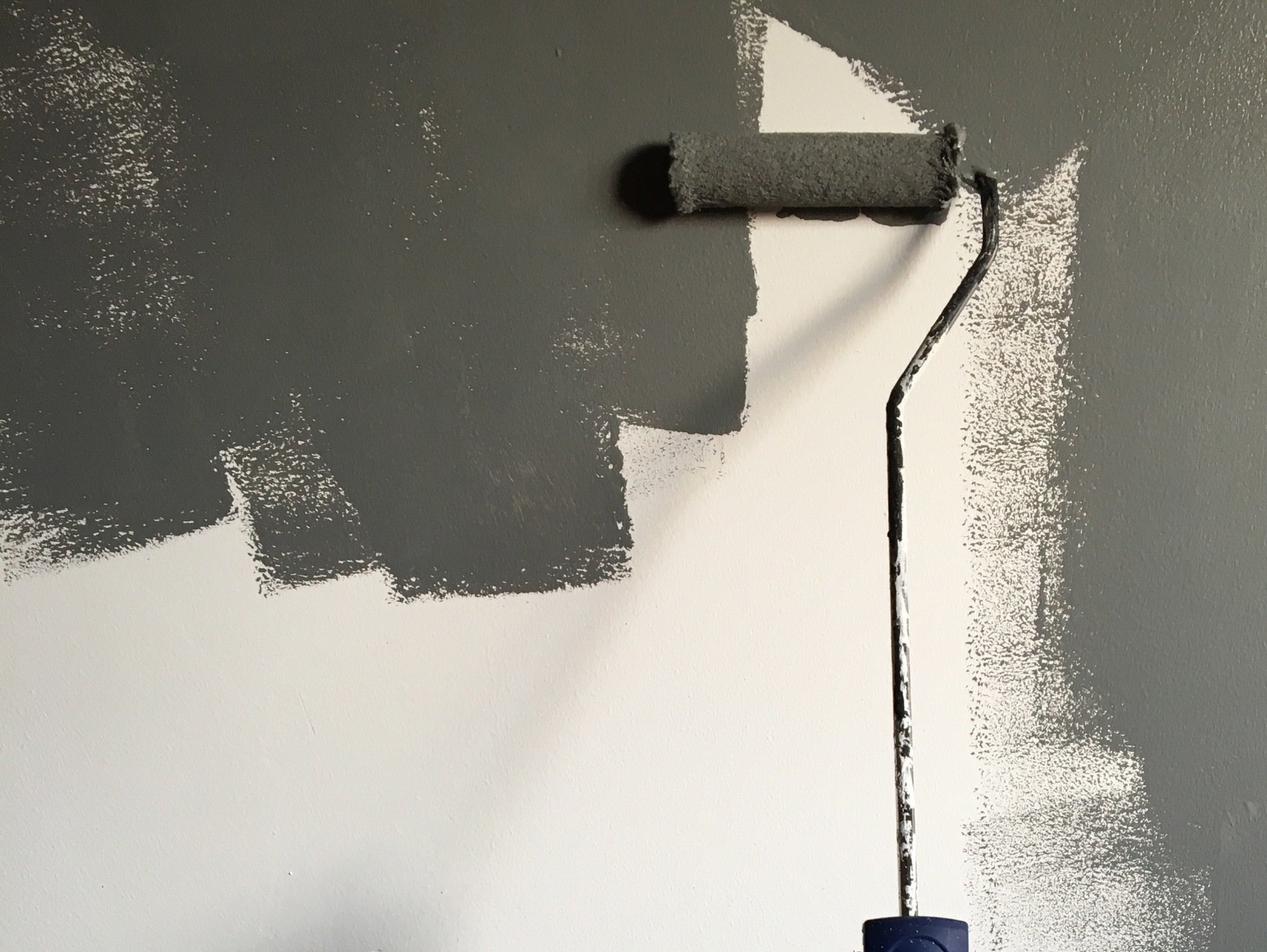 Paint roller