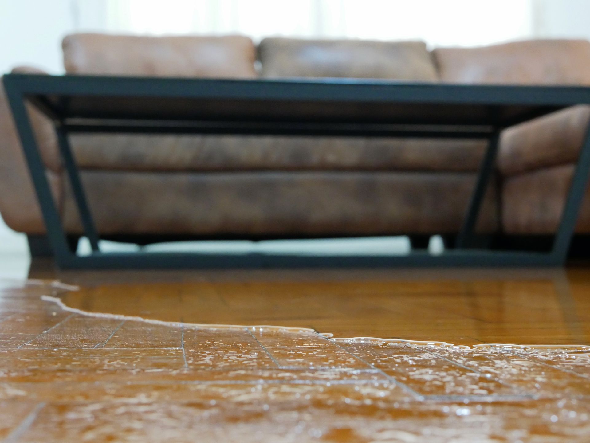 Wet living room