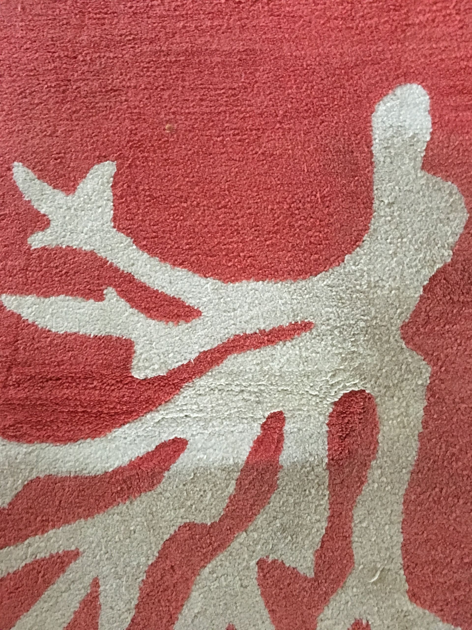 Gallery Oceanside Carpet Cleaning & Pressure Washing