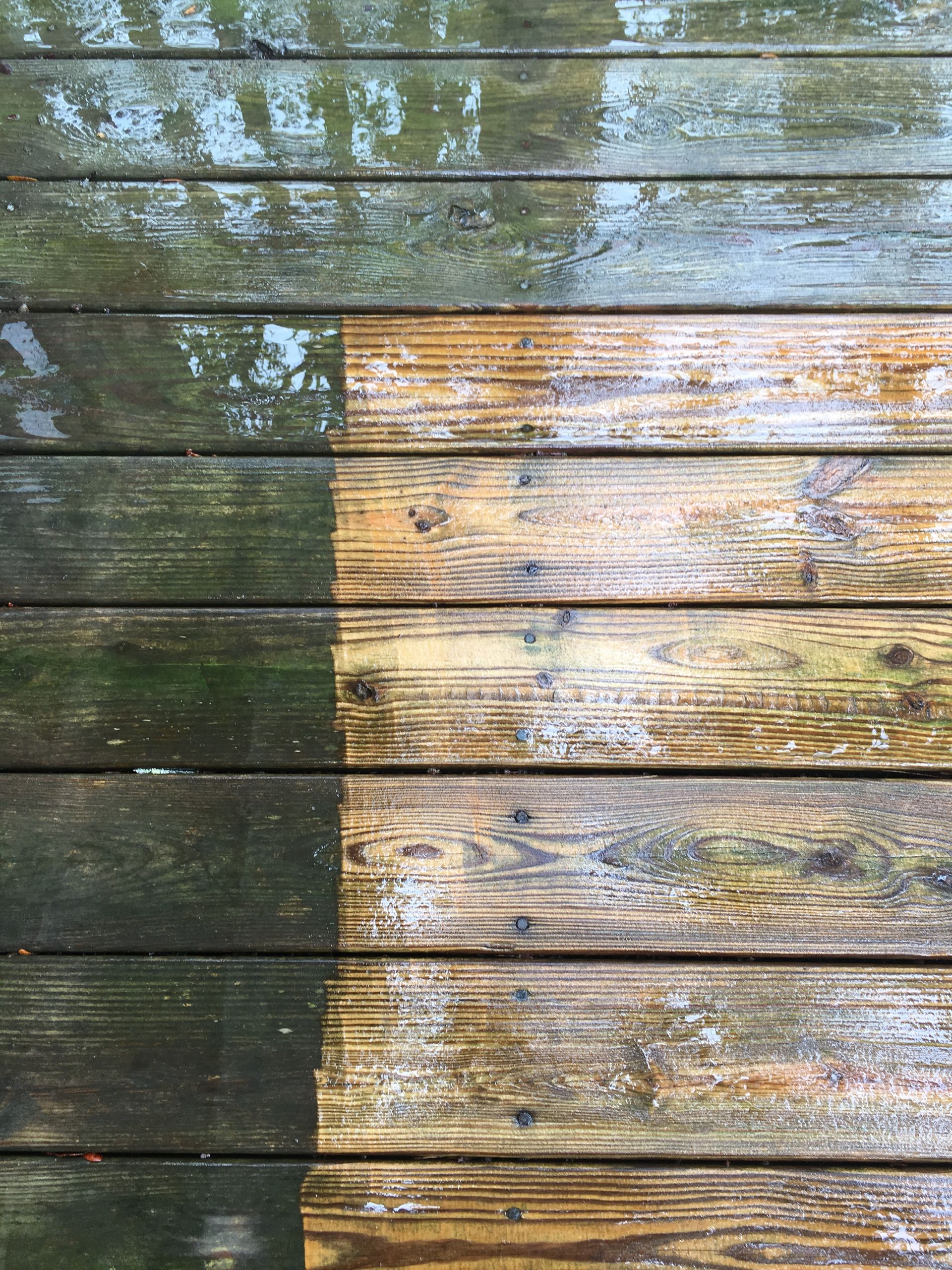 Gallery Oceanside Carpet Cleaning & Pressure Washing