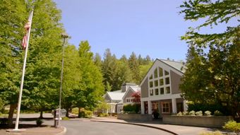 Tree-lined driveway beside white buildings with large windows on a sunny day