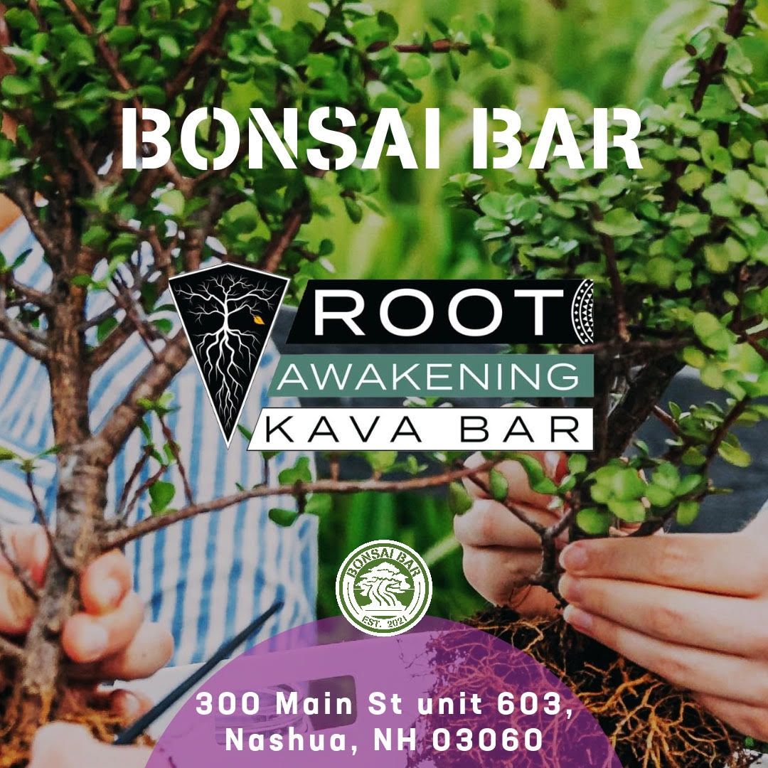 Kava Bar Events New Hampshire Root Awakening Kava Bar