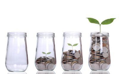 A plant is growing out of a jar of coins.