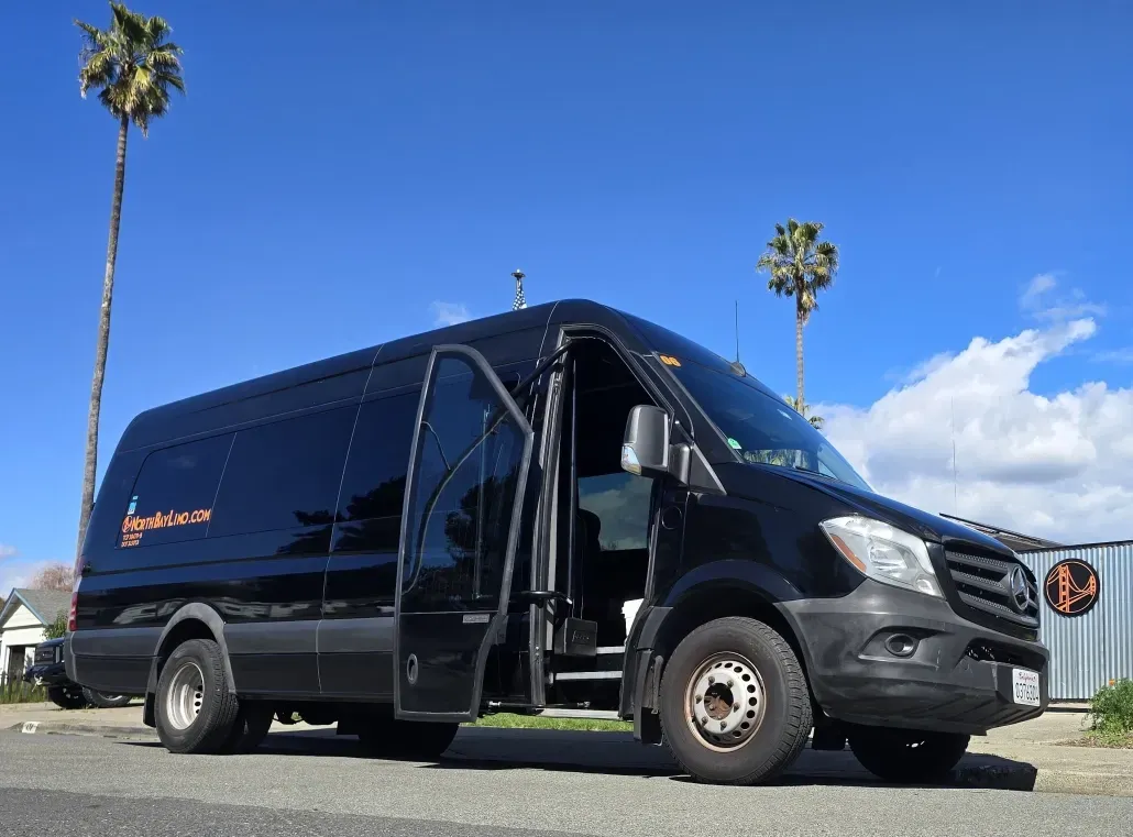Black cargo van with open sliding door parked outdoors under a blue sky.