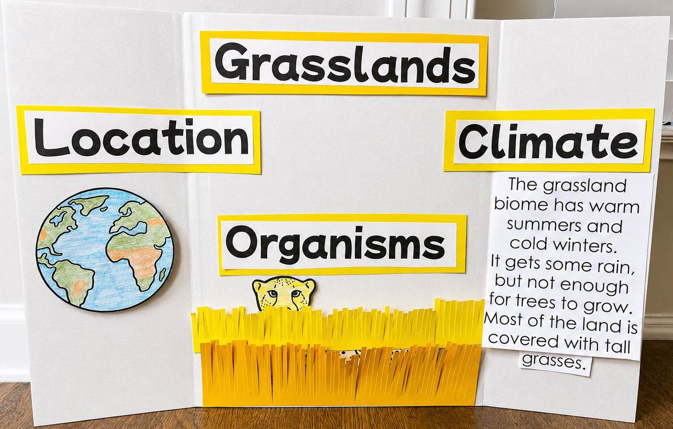 A trifold of the grasslands showing the location, the organisms and the climate.