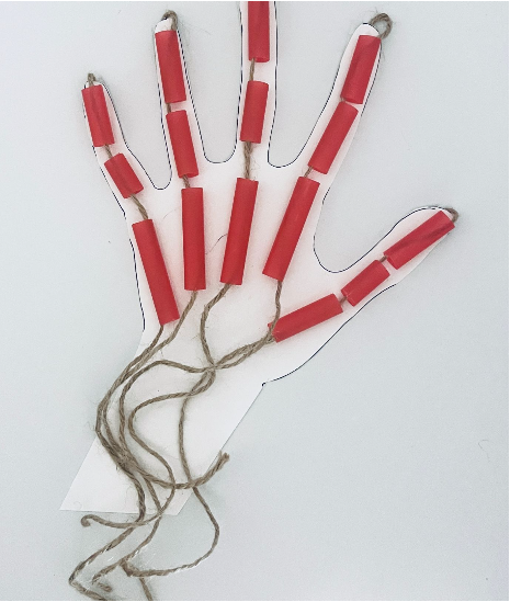 Hand made out of straws paper and twine to show how the musculoskeletal system works together. 