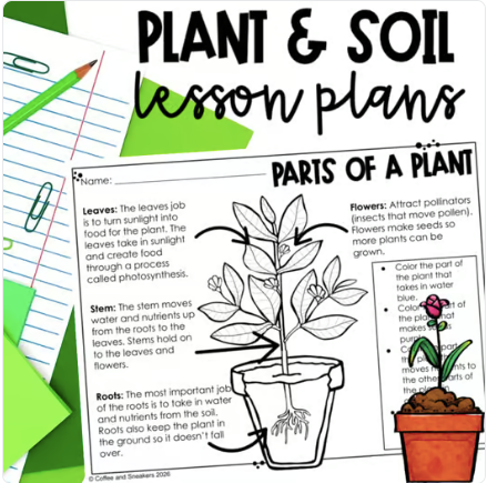 3rd Grade Plant & Soil Lesson plans for NC Teachers