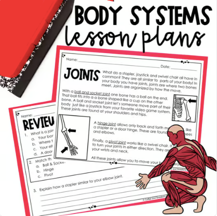 3rd Grade Body System Lesson Plans for NC teachers
