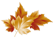Orange and gold autumn leaves.
