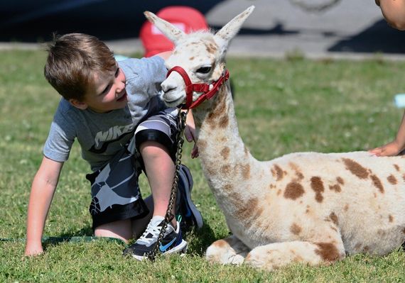 Bagby's Critter Corral -  Church events image 