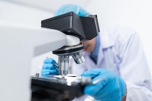Mold testing ━ Boca Raton, FL ━ The Mold Inspector