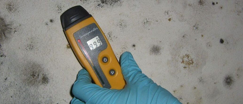 Mold Inspection ━ Boca Raton, FL ━ The Mold Inspector