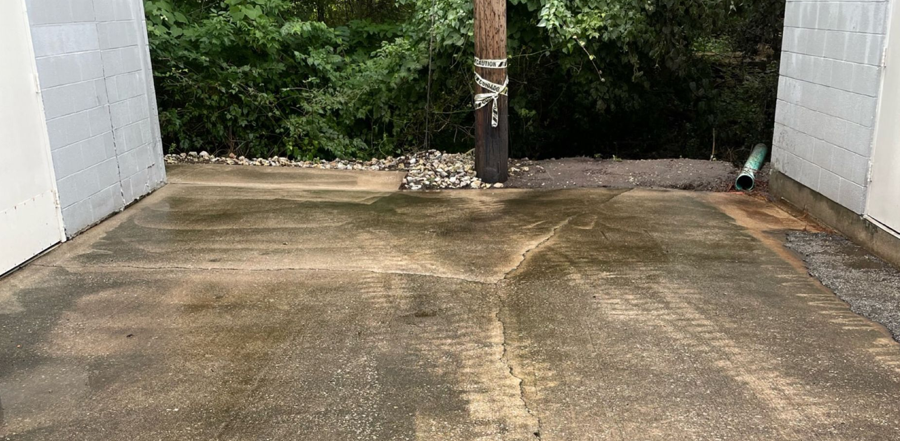 Empty concrete driveway between white walls, with a tree and greenery in the background